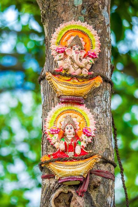 বাড়িতে গণেশের মূর্তি বা ছবি প্রতিষ্ঠা করার আগে দেখে নিন তাঁর শুঁড় যেন বাঁ দিকে ঘোরানো থাকে। গণপতির মূর্তির অন্য হাতে তাঁর প্রিয় খাদ্য মোদক আছে কিনা, তাও দেখে নিন।