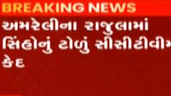 ન્યૂઝ રૂમ લાઈવ: અમરેલીના રાજુલામાં સિંહોનું ટોળું CCTVમાં કેદ, પશુનું કર્યું મારણ, જુઓ ગુજરાતી ન્યૂઝ