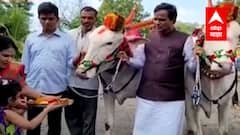 Raosaheb Danve : जालना : केंद्रीय रेल्वे राज्यमंत्री रावसाहेब दानवे यांच्याकडून बैलपोळा साजरा