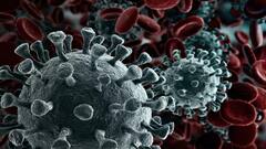 Coronavirus update: India records 31,222 new cases in last 24 hours, active infections decline