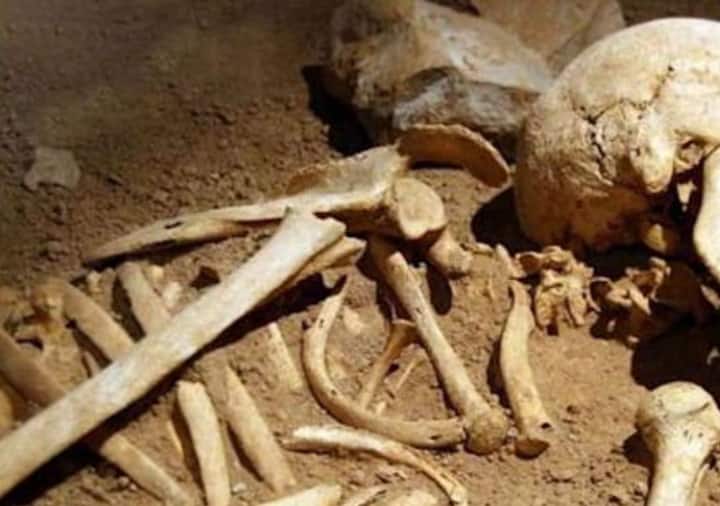 Skeleton found in hospital non-functional lift opened after 24 years at Uttar Pradesh Skeleton Found In Hospital: 24 ఏళ్లుగా తెరవని లిఫ్ట్.. తెరిచాక చూస్తే అందులో అస్థిపంజరం.. ఇంతకీ ఏం జరిగింది?