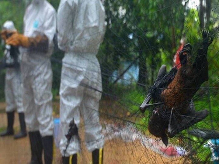 Nipah: நிபா கலக்கத்தில் கேரளா.. உஷாராகும் தமிழ்நாடு.. தீவிர கண்காணிப்பில் எல்லைகள்!