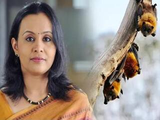 நிபா சோதனையில் எல்லாமே நெகட்டிவ்... பாசிட்டிவ் ரிசல்ட் சொன்ன கேரள அமைச்சர்!