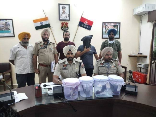 Gangster Jaspreet babbi nabs by police, Gangster Jaspreet Babbi arrested by police, 17 criminal cases registered ਗੈਂਗਸਟਰ ਜਸਪ੍ਰੀਤ ਬੱਬੀ ਨੂੰ ਪੁਲਿਸ ਨੇ ਕੀਤਾ ਗ੍ਰਿਫਤਾਰ, 17 ਅਪਰਾਧਿਕ ਮਾਮਲੇ ਹਨ ਦਰਜ 