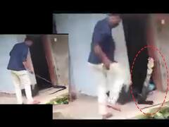 Viral Video : सावधान! नागाच्या शेपटीवरुन त्याच्या ताकतीचा अंदाज लावताय? मग हा व्हिडीओ पहाच