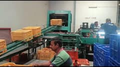 Politics Intensifies As Apple Prices Crash In Himachal Pradesh - All You Need To Know