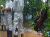 Nipha Virus in Kerala : கேரளாவில் 188 பேருக்கு நிபா வைரஸ் பாதிப்பா? அரசு கூறிய அதிர்ச்சித் தகவல்!