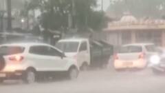 ફટાફટ: ઉકાઈ ડેમમાં પાણીની આવક શરૂ, ખેડૂતો થયા ખુશ, જુઓ ગુજરાતી સમાચાર