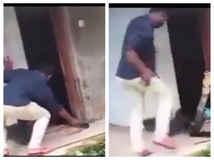 Viral Video Of Man Rescuing A Snake Judges Snake With Its Tail வாலை