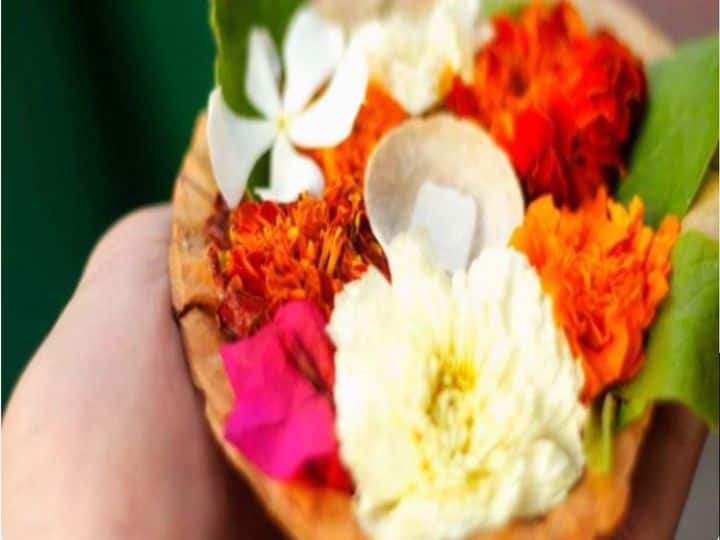 what to do of that flowers which you got from temple as a parasad keep in tijori and purse in hindi Puja Path: प्रसाद के रूप में मंदिर से मिले फूलों को इस तरह से रखें, मिलेगी पॉजीटिव एनर्जी