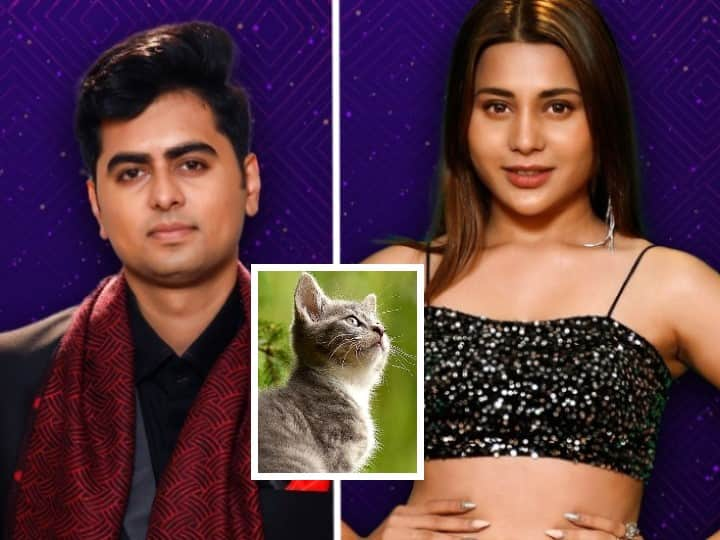 Bigg Boss 5 Beauty Hamida claimed that she has pet cats doesn't meow but just scream Maa Hamida Cat: బిగ్ బాస్ హౌస్‌లో పిల్లి కోసం లొల్లి.. హమీదా వింత వ్యాఖ్యలు.. అడ్డంగా బుక్కైన జెస్సీ!