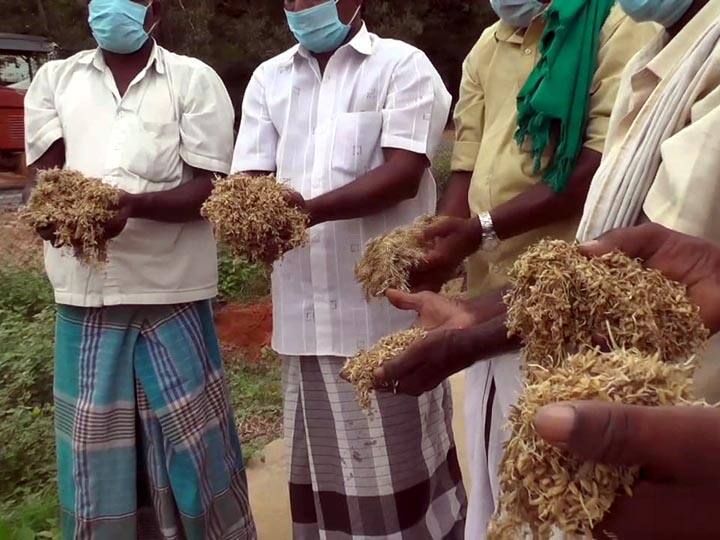 Farmers demand opening of Kasanadu paddy procurement center in Thanjavur ’5 ஆயிரம் ஏக்கர் நெற்பயிர்கள் கேள்விக்குறி’- காசாநாடு கோவிலூர் நெற்கொள்முதல் நிலையத்தை திறக்க கோரிக்கை