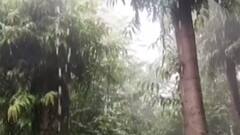 આપણી ખબર: રાજ્યના માછીમારોને આગામી 5 દિવસ દરિયો ન ખેડવા સૂચના અપાઈ, જુઓ ગુજરાતી ન્યૂઝ