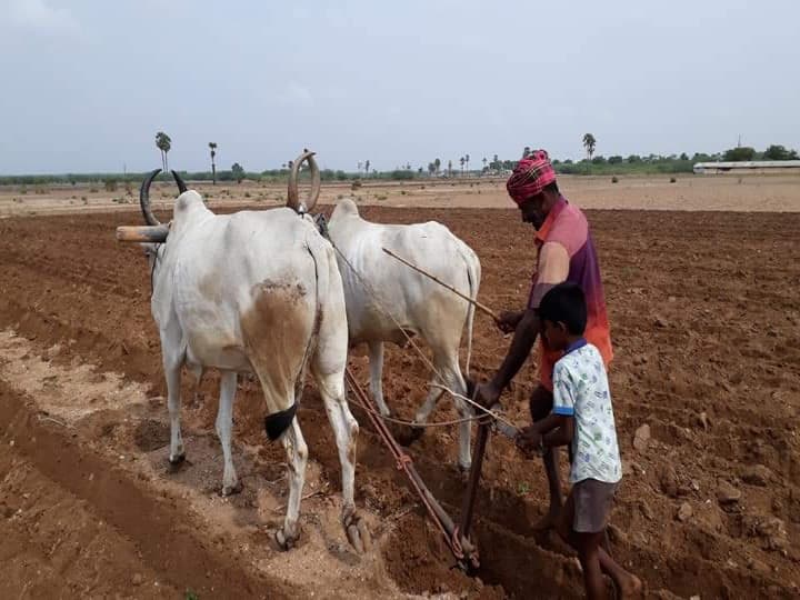 smam kisan yojana 2022 farmers get agriculture equipment at very lost cost central government gives subsidy शेतीसाठी उपकरणे खरेदी करताय? सरकारी अनुदानाचा मिळेल लाभ, जाणून घ्या सर्व माहिती