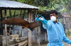 கொரோனாவை விட ஆபத்தான நிபா... இந்த பழங்களை சாப்பிட்டால் ஆபத்து என எச்சரிக்கை!