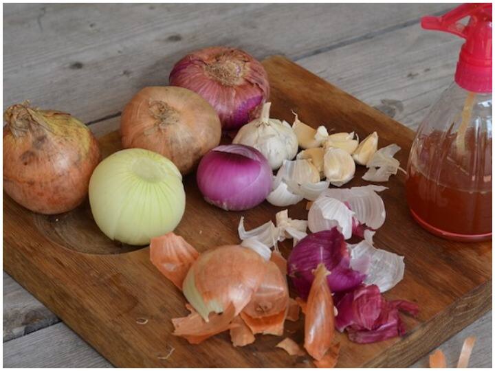 Kitchen Hacks, Onion and Garlic Peels are used to Enhance Beauty from Taste And Benefits of Onion and Garlic Peels Kitchen Hacks: स्वाद से लेकर ब्यूटी बढ़ाने के काम आते हैं Onion और Garlic के छिलके, जानें इसके चमत्कारी फायदे