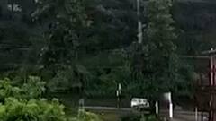 Uttarakhand Weather Update : Dehradun, Nainital समेत इन जिलों में भारी बारिश की संभावना | Hindi News