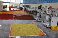 Tirupati Devasthanam: ఏడు కొండలవాడి గుర్తుగా ఏడు బ్రాండ్లు..అగరబత్తీలుగా శ్రీవారి పూజా పుష్పాలు