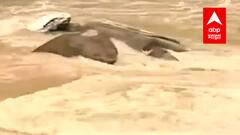 Aurangabad Rains : औरंगाबादेत मुसळधार पावसाची हजेरी; पैठण गेट, गुलमंडी परिसरात पाणीच पाणी