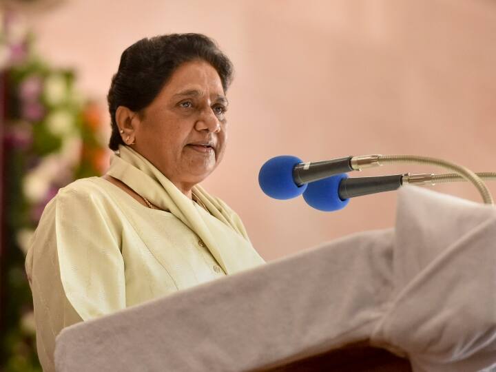 bsp President Mayawati demanded new law to ensure MSP for produce of farmers Farm Laws Repeal: कृषि कानून वापस लेने का बीएसपी अध्यक्ष मायावती ने किया स्वागत, साथ ही कर दी ये मांग