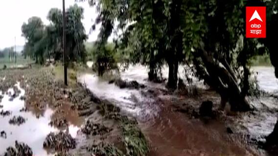 Buldhana : मुसळधार पावसामुळे शेतकऱ्यांचं नुकसान ; हजारो हेक्टर शेती पाण्याखाली ABP Majha