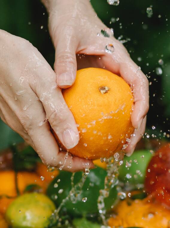 निपाह वायरस: बिना धोए गिरे हुए फल खाना खतरनाक