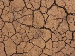 MP: बारिश के लिए अमानवीय टोटकों का सहारा, छोटी-छोटी बच्चियों को नग्न कर गांव में घुमाया गया