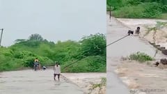 ભાવનગરઃ પાણીના પ્રવાહમાં યુવક તણાયો, જુઓ લાઇવ વીડિયો