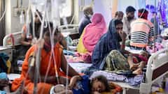 Kanpur: Dengue से 24 घंटे में चार और मौत, मृतकों की संख्या 24 के पार | Hindi News