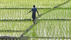 Farmers demand action against SDM who ordered for baton charge