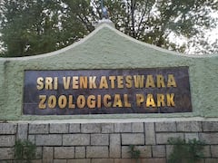 Tirupati Zoo Park: జంతు ప్రేమికులు రావల్సిందిగా మనవి.. దత్తతకు తిరుపతి జూ జంతువులు