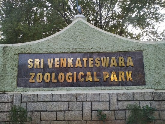 Tirupati Zoo Park: జంతు ప్రేమికులు రావల్సిందిగా మనవి.. దత్తతకు తిరుపతి జూ జంతువులు