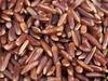 Red Rice Benefits: ఎర్రబియ్యం తింటే బానపొట్ట మాయం... మధుమేహులకు అమృతం