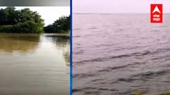 Parbhani Rain : परभणीत मुसळधार पाऊस, गोदावरी नदीला पूर; अनेक गावांत पाणी शिरले