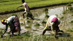 Farmers Protest: किसानों और प्रशासन के बीच बैठक बेनतीजा, Yogendra Yadav ने साधा सरकार पर निशाना