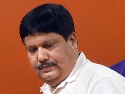 Arjun Singh: 'ভোটে ভবানীপুরের দায়িত্বে আছি, তাই হামলা', বাড়িতে বোমাবাজি সম্পর্কে অর্জুন সিং | Bangla News