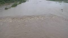 અમરેલીમાં ધોધમાર વરસાદથી નદી-નાળા બે કાંઠે, ખાંભાના ધાતરવડી નદીમાં આવ્યું પુર