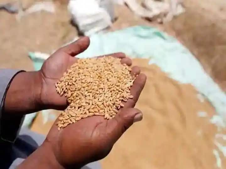 Wheat Exports: इस साल एक करोड़ टन से ज्यादा रह सकता है गेहूं का निर्यात, जानें क्या बोले पीयूष गोयल?