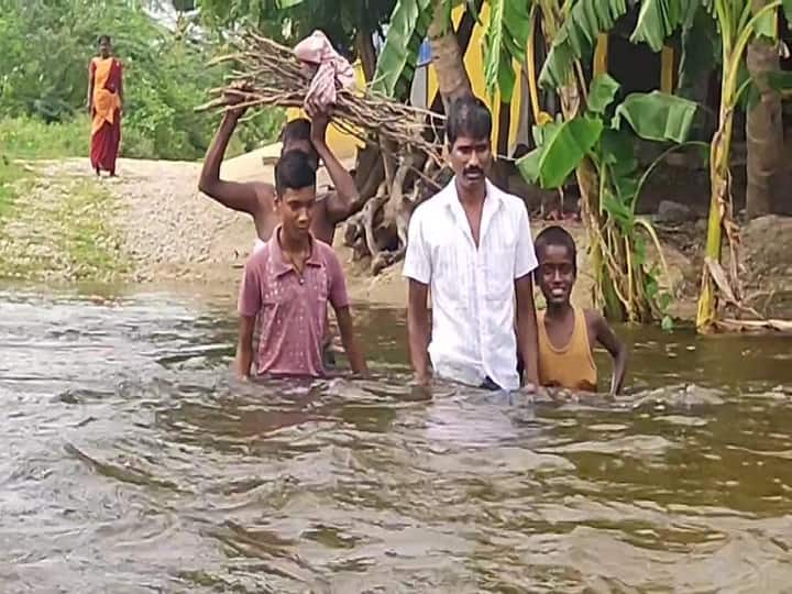 WATCH | Tamil Nadu Ranipet District Students, Villagers Cross Canals With Hip-Level Water To Reach Destinations WATCH | Students, Villagers In Tamil Nadu Village Cross Canals With Hip-Level Water To Reach Destinations