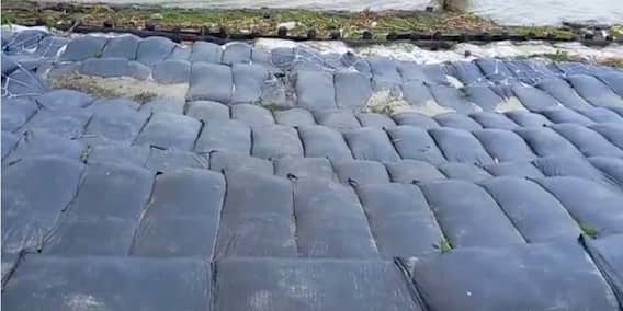 নদীগর্ভে তলিয়ে যাচ্ছে বিঘার পর বিঘা কৃষি জমি, হাওড়ায় ভাঙন-বিপর্যস্ত জীবন