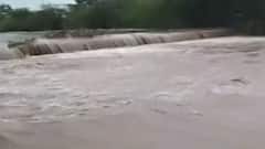 ફટાફટ: રાજ્યમાં હજુ 5 દિવસ વરસાદ પડવાની આગાહી, 24 કલાકમાં રાજ્યના 226 તાલુકાઓમાં વરસાદ