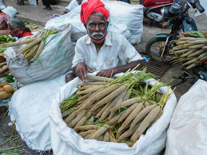 விநாயகர் சிலைக்கு வைத்து படைக்கப்படும் கம்பை விற்பனை செய்யும் விவசாயி