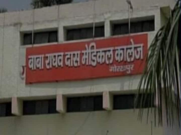 Viral fever and encephalitis patients increased in Gorakhpur BRD Medical College ANN Gorakhpur News: गोरखपुर के बीआरडी मेडिकल कॉलेज में बढ़े वायरल फीवर और इंसेफेलाइटिस के मरीज, अस्पताल प्रशासन अलर्ट