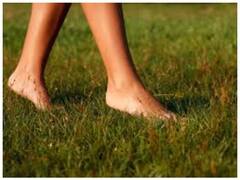 Walking After Eating: खाना खाने के बाद थोड़ा टहलना क्यों है जरूरी? जानिए