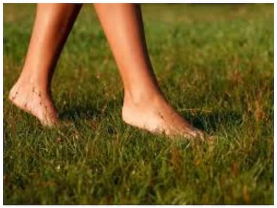 Walking After Eating: खाना खाने के बाद थोड़ा टहलना क्यों है जरूरी? जानिए Walking After Eating: खाना खाने के बाद थोड़ा टहलना क्यों है जरूरी? जानिए