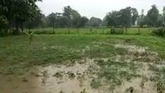 Monsoon Update: यूपी में भारी बारिश की चेतावनी, 36 जिलों के लिए अलर्ट जारी | Hindi News