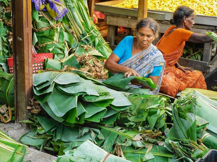 வாழை இலை விற்பனை