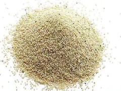 Poppy Seeds Health Benefits: खसखस का करें रेगुलर सेवन, मिलेंगे आपको यह गजब के फायदे