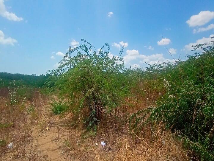 ’மதுரை எய்ம்ஸ் மருத்துவமனைக்கே சவால் விடும் தூத்துக்குடி இஎஸ்ஐ மருத்துவமனை’