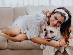 Samantha | சொன்னதெல்லாம் கேக்குது.. நாய்க்குட்டியுடன் செல்லச் சண்டை போட்ட சமந்தா..!